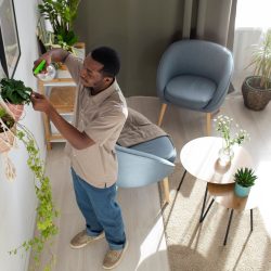 Tendências Modernas para Transformar Sua Casa